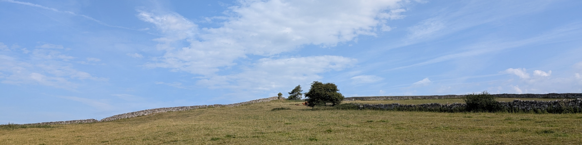 View of sky, trees and dry stone walls out across Thorpe Pastures